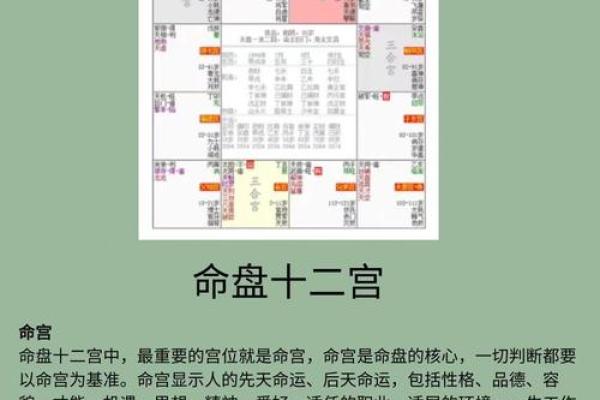 紫薇斗数看玄学体质 紫薇斗数看玄学体质