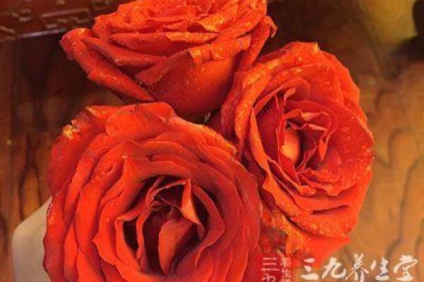 特朗普八字:木火通明三合局,大富大贵,官运坦荡 特朗普八字:木火通明三合局,大富大贵,官运坦荡