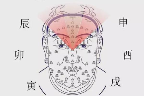 面相算命入门：五行与相貌