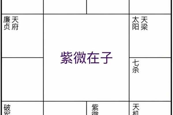 紫薇斗数先天卦 紫薇斗数先天卦