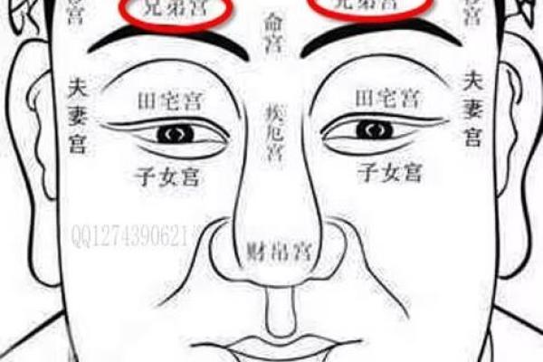 额头胎记算命图解 额头胎记算命图解