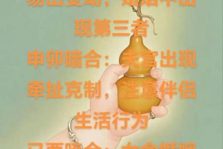 女人巳酉暗合代表什么,什么八字代表可能有婚外情