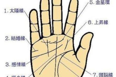 图解;手相赌运纹算命
