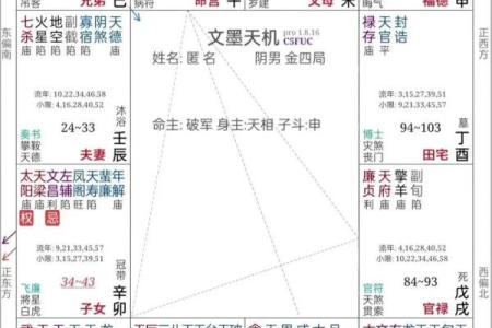 紫微斗数诸星落诸宫之：巨门星子女宫详解