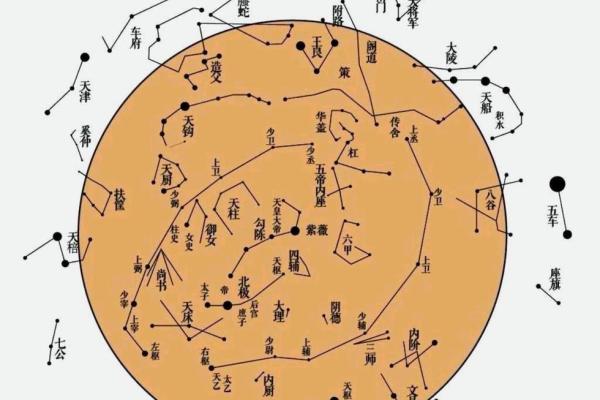 紫薇斗数星盘预测