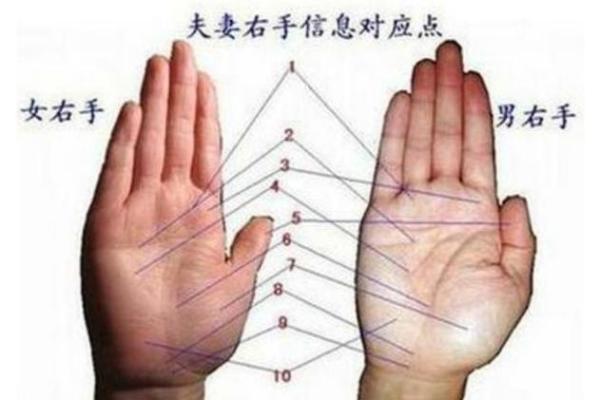 手掌算命男左女右 手掌算命男左女右