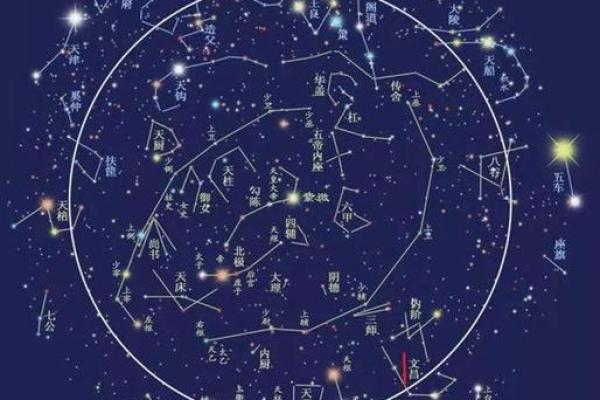 紫薇星是什么 紫薇星是什么