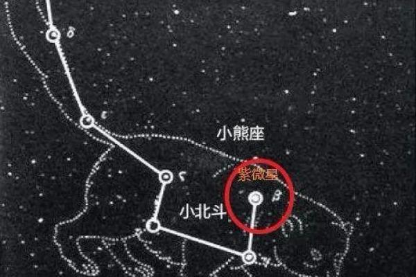 紫薇星是什么 紫薇星是什么
