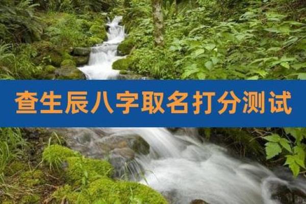 查男孩名字打分测试打分测试 查男孩名字打分测试打分测试