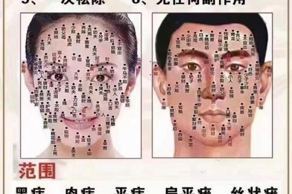 脸的各部位胎记算命详解