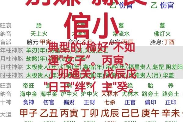 八字公务员 八字公务员