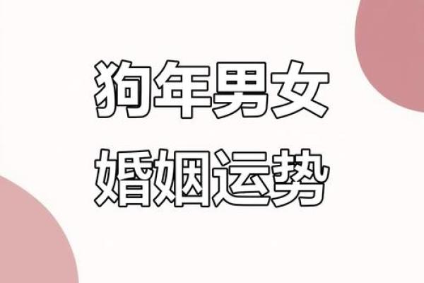 【详解八字合婚狗和狗,看看他们的姻缘指数!】 【详解八字合婚狗和狗,看看他们的姻缘指数!】