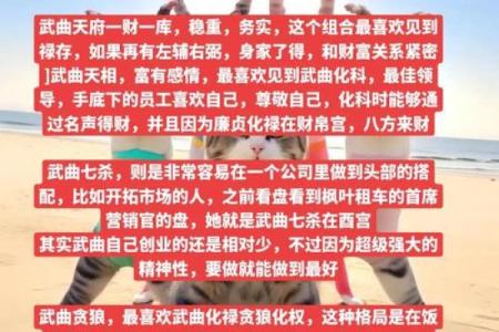 紫薇斗数中的武曲坐命需要注意什么呢？