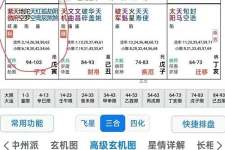 紫薇斗数入内局