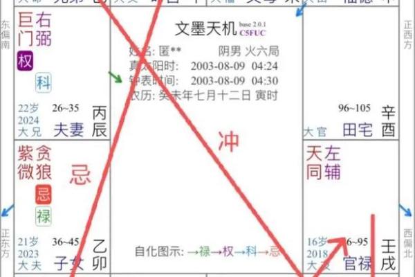 紫薇斗数事业成就