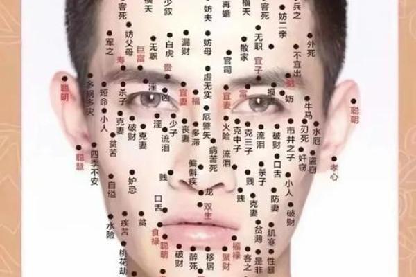 脸上各部位的胎记算命