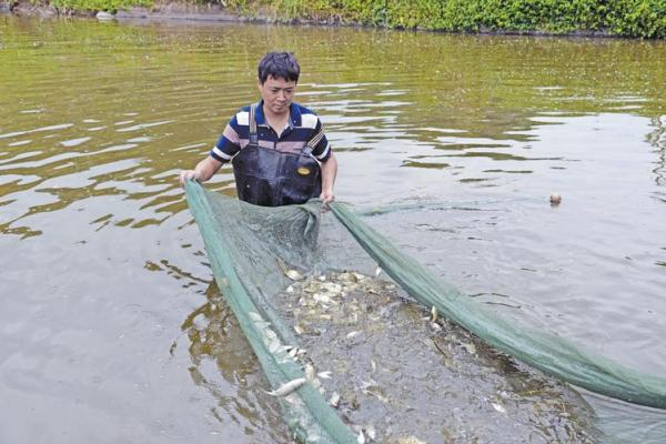 回乡创业,八字还没一撇就被支书要走3万 纪委出手了 回乡创业,八字还没一撇就被支书要走3万 纪委出手了