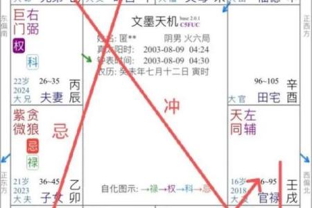 紫薇斗数事业成就
