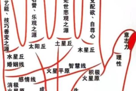 有横财偏财的手相女命八字