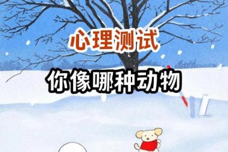 根据名字测试你是什么动物  本命动物测试