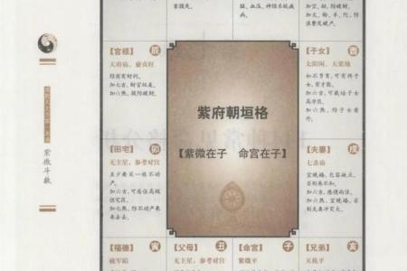 紫微斗数化忌在十二宫详解,十二宫中化忌的影响