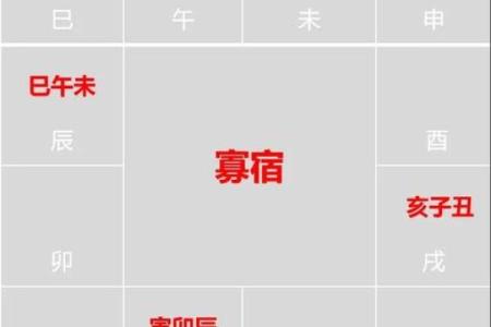 紫微斗数排盘天魁星坐命宫分析,十二宫分析