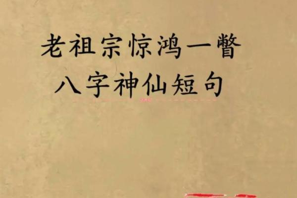 神仙八字