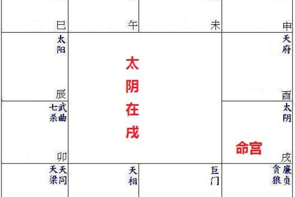 紫薇斗数太阴陷 紫薇斗数太阴陷