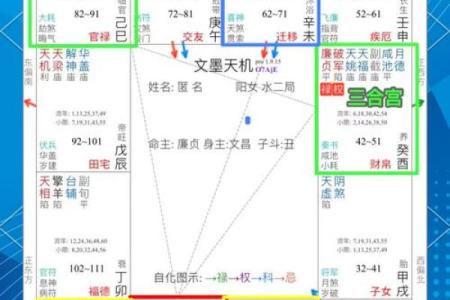 紫薇斗数龙池入命