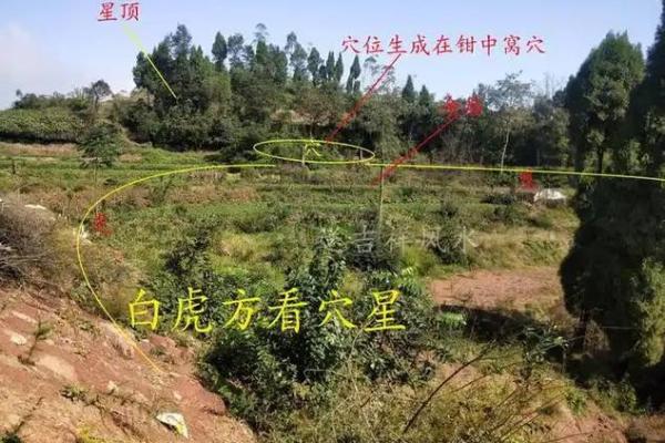 坟地的风水坟地风水看方位 坟地的风水坟地风水看方位