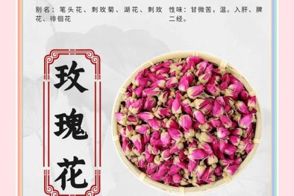 玫瑰花的风水和禁忌 玫瑰花的风水和禁忌