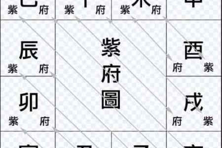 如何看紫薇星在什么宫