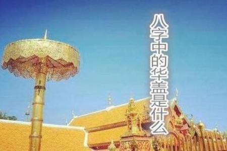 紫微斗数华盖入命宫,华盖星是什么意思