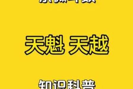 紫薇斗数怎么安天魁