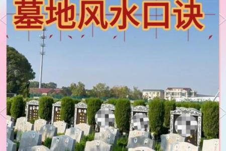 风水师：坟墓前最怕放什么东西