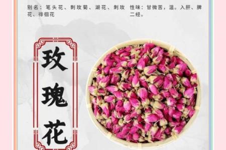 玫瑰花的风水和禁忌