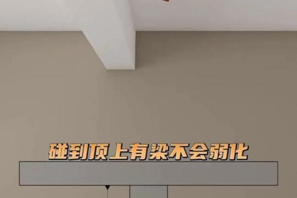卧室顶有梁风水