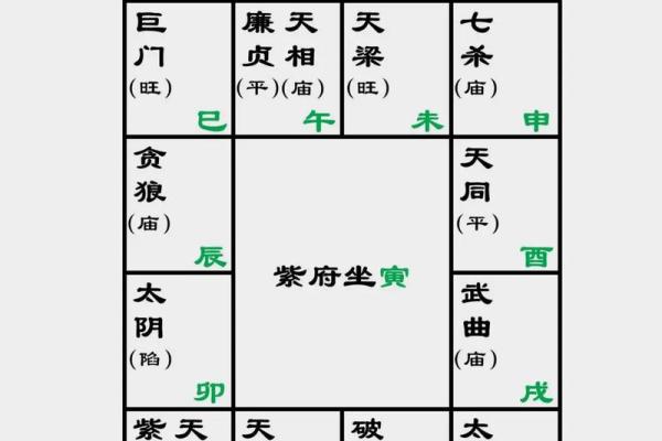 灵机紫薇斗数下载