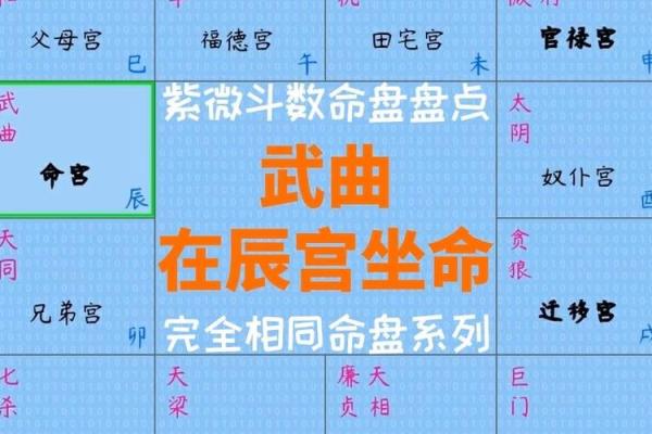 紫薇斗数武曲详解