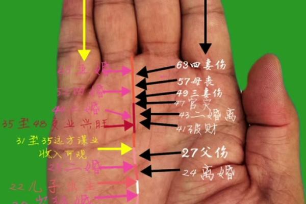 凯帝阿手相算命图解大全03
