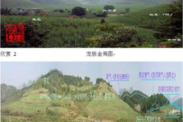 墓地虽小风水多,阴宅宜忌指南 墓地虽小风水多,阴宅宜忌指南