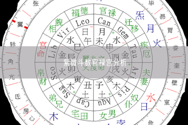 紫薇斗数事业有成 紫薇斗数事业有成