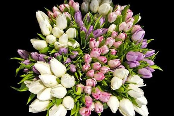 梦见老人佛滔算命