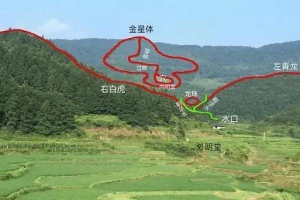 坟墓风水知识大全！