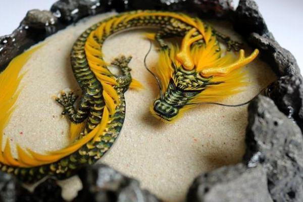 算命先生说儿子是条黑龙