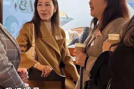 李嘉欣紫薇斗数