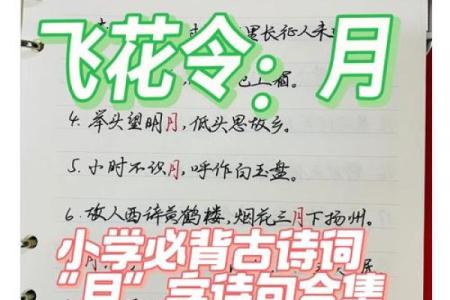 八字中什么是月令,什么是八字的月令