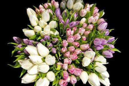 梦见老人佛滔算命