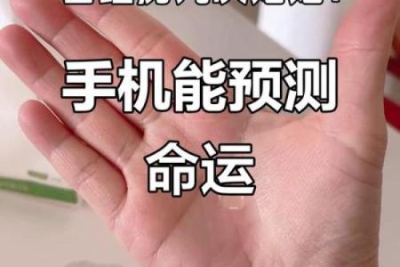 手机上算命能信吗吗
