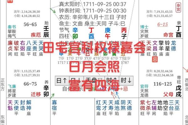 紫薇命盘详解免费版